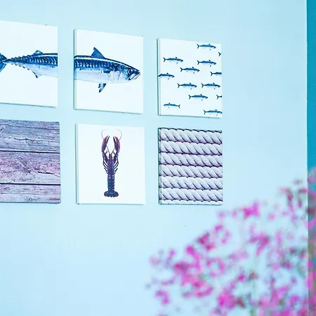 Zeezicht - Amu-zee-vous