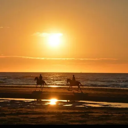 Zeezicht - Residentie Golfslag Appartement Oostduinkerke